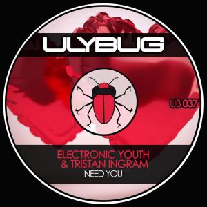 ดาวน์โหลดและฟังเพลง Need You พร้อมเนื้อเพลงจาก Electronic Youth