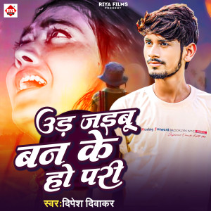 Album Ud Jaibu Ban Ke Ho Pari from 