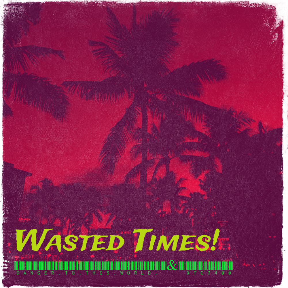 Wasted Times! (Explicit)