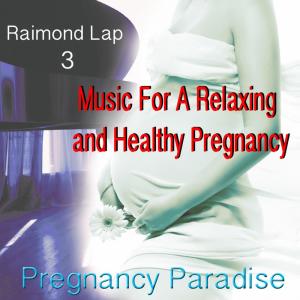 收聽Raimond Lap的Harmonize And Socialize歌詞歌曲