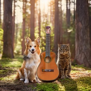 อัลบัม Pets' Peaceful Strings: Guitar Sounds in Forest Calm ศิลปิน Charming Music for Pets