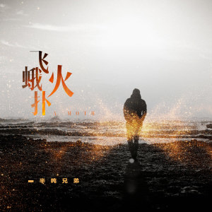 Listen to 飞蛾扑火 (正式版) song with lyrics from 半吨兄弟