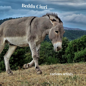 Listen to E la luna menzu u mari song with lyrics from Li Canzunari