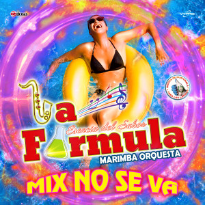 收聽La Fórmula Marimba Orquesta的Mix No Se Va: Bebe Dame / Que Vuelvas / No Se Va. Música de Guatemala para los Latinos歌詞歌曲