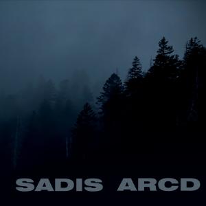 收聽Sadis的ACID WHIP (feat. ARCD)歌詞歌曲