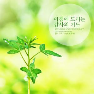 Album Thanksgiving in the morning from 중보기도