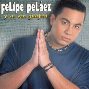 ดาวน์โหลดและฟังเพลง Te Vas พร้อมเนื้อเพลงจาก Felipe Pelaez