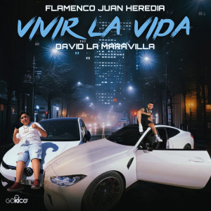 收聽Flamenco Juan Heredia的Vivir la Vida歌詞歌曲