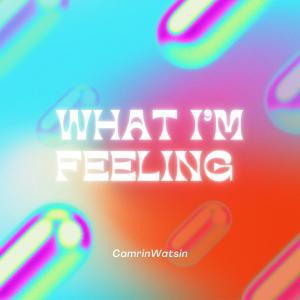 收聽CamrinWatsin的What I'm Feeling歌詞歌曲