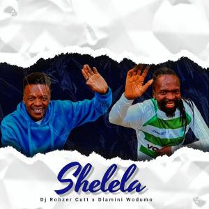 Listen to Shelela song with lyrics from Dj Robzer Cutt