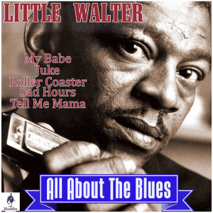 收听Little Walter的Temperature歌词歌曲