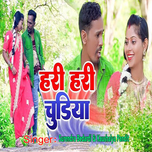 Listen to Hari Hari Chudiya song with lyrics from Surendra Bedardi