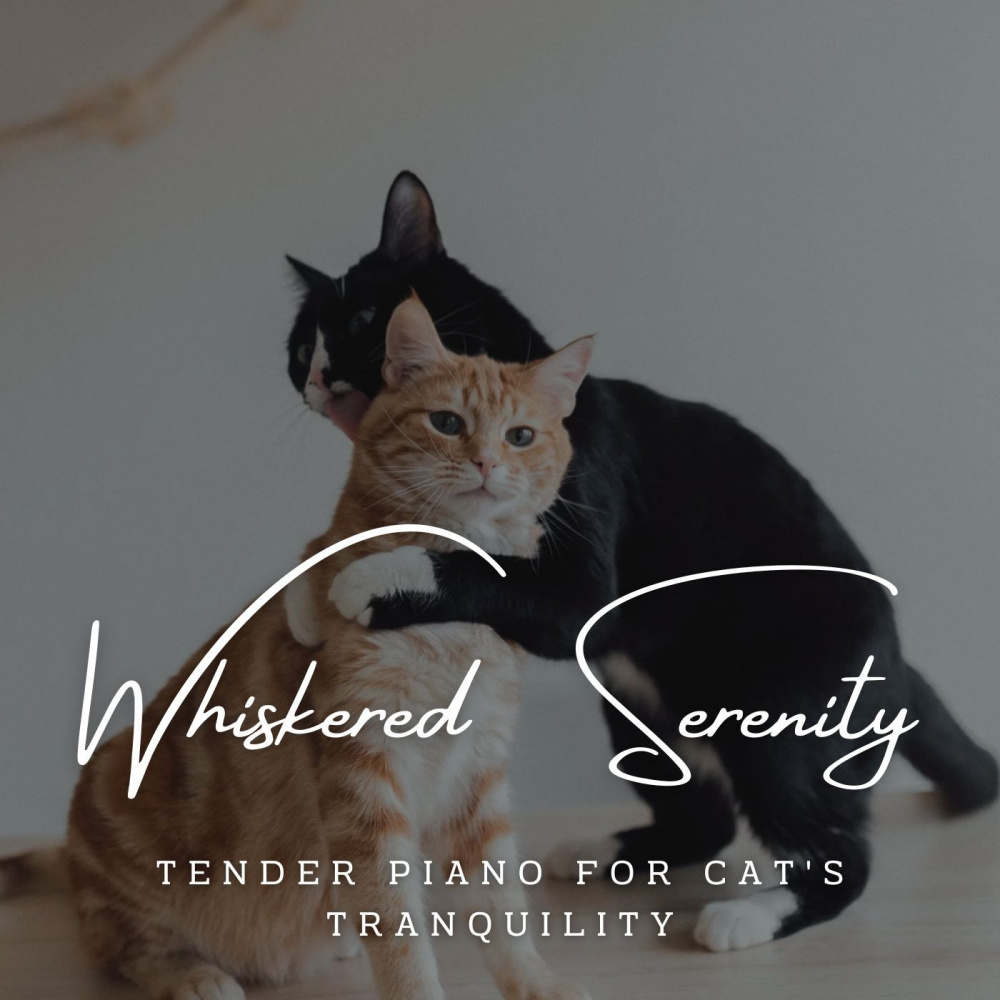 Tender Piano for Cat's Tranquility