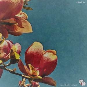 收聽One Trak的Sweet Air歌詞歌曲