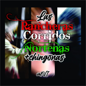 Listen to Las Gaviotas song with lyrics from Conjunto Aguaprieta