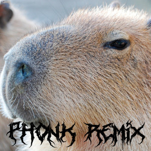 Сто-Личный Она-Нас的專輯Capybara (Phonk remix)