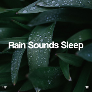 !!!" Rain Sounds Sleep "!!!