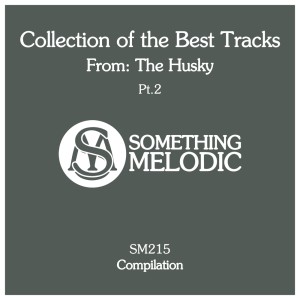 Album Collection of the Best Tracks From: The Husky, Pt. 2 from The Husky