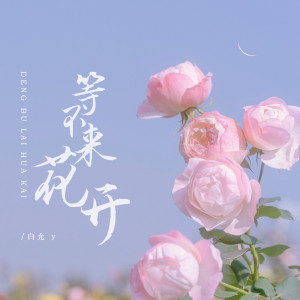 收聽白允y的等不來花開 (完整版)歌詞歌曲