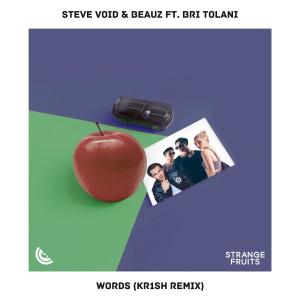Steve Void的专辑Words (feat. Bri Tolani) [kr1sh Remix]