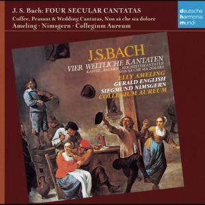 ดาวน์โหลดและฟังเพลง Cantata No. 211: Schweigt stille, plaudert nicht, BWV 211, "Coffee Cantata": Nun geht und sucht der alte Schlendrian (Recitativo) พร้อมเนื้อเพลงจาก Collegium Aureum