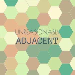 Various Artists的專輯Unreasonably Adjacent