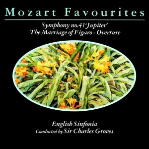 Listen to Madamina (Catalogue Aria) From 'Don Giovanni', K. 527 song with lyrics from Czech Symphony Orchestra