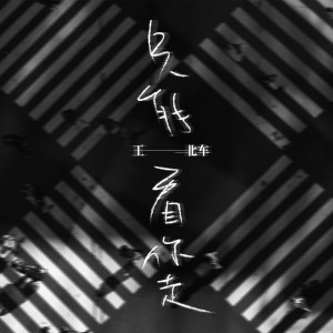 Album 只能看你走 oleh 王北车