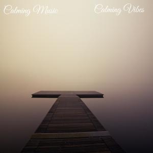 Listen to Unwinding Anxiety song with lyrics from Calming Music