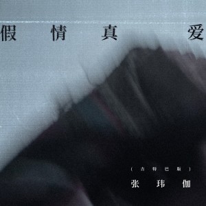 Album 假情真爱(吉特巴版) from 张玮伽