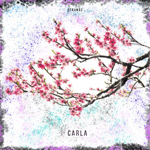 ดาวน์โหลดและฟังเพลง Carla พร้อมเนื้อเพลงจาก Strandz