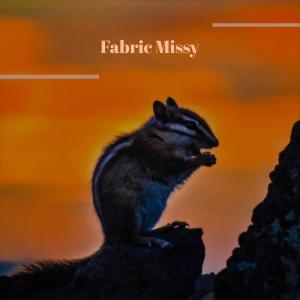 Album Fabric Missy oleh Various Artists