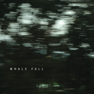 Album Whale Fall oleh Whale Fall