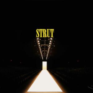 Strut (feat. TruPopGod & Sada Baby) (Explicit) dari Sada Baby
