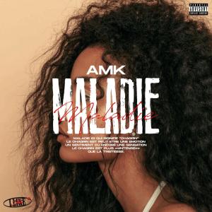 收聽BigAmk的Maladie歌詞歌曲