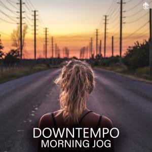 Album Downtempo Morning Jog from Various
