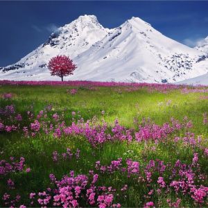 Listen to Calm on the Horizon song with lyrics from Meditation Rain Sounds