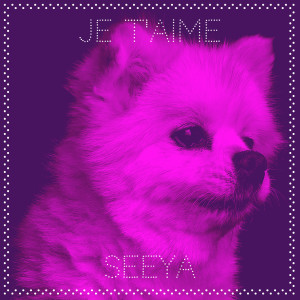 Listen to Je T'aime song with lyrics from SEEYA