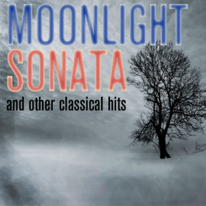 ดาวน์โหลดและฟังเพลง Violin Concerto No. 1 In A Minor, BWV 1041: Allegro Moderato พร้อมเนื้อเพลงจาก Sarah Ainsworth