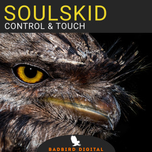 收听Soulskid的Control & Touch (Maa Bashi & Denis Binokl Remix)歌词歌曲