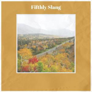 Various的专辑Fifthly Slang