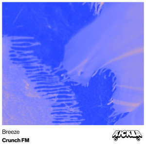 Listen to Breeze song with lyrics from Crunch FM