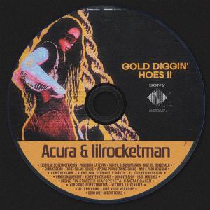 收聽DJ Acura的GOLD DIGGIN' HOES 2 (Explicit)歌詞歌曲