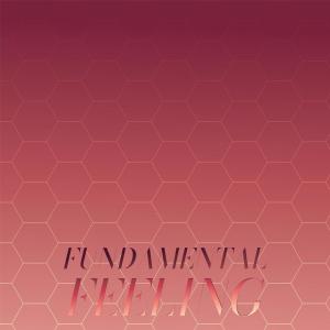 Album Fundamental Feeling from Various