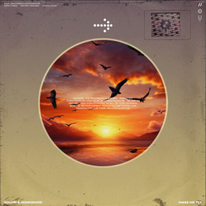 Album Make Me Fly from Volyri
