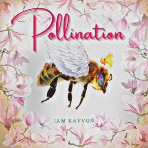 Kaas的專輯Pollination (Explicit)