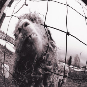 ดาวน์โหลดและฟังเพลง Rearviewmirror (Remastered) พร้อมเนื้อเพลงจาก Pearl Jam