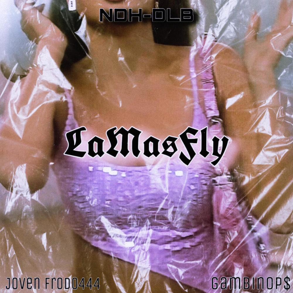 LaMasFly (feat. Joven Frodo444) (Explicit)