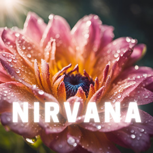 อัลบัม Nirvana ศิลปิน Yoga Rain