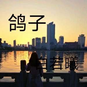 Listen to 鸽子 song with lyrics from 白若曦